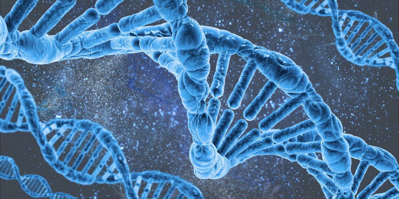 ELV BIOSCIENCE
