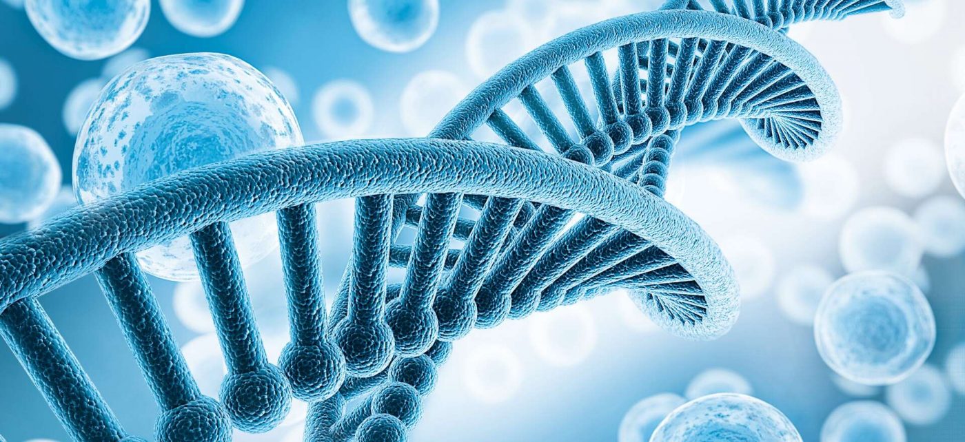ELV BIOSCIENCE